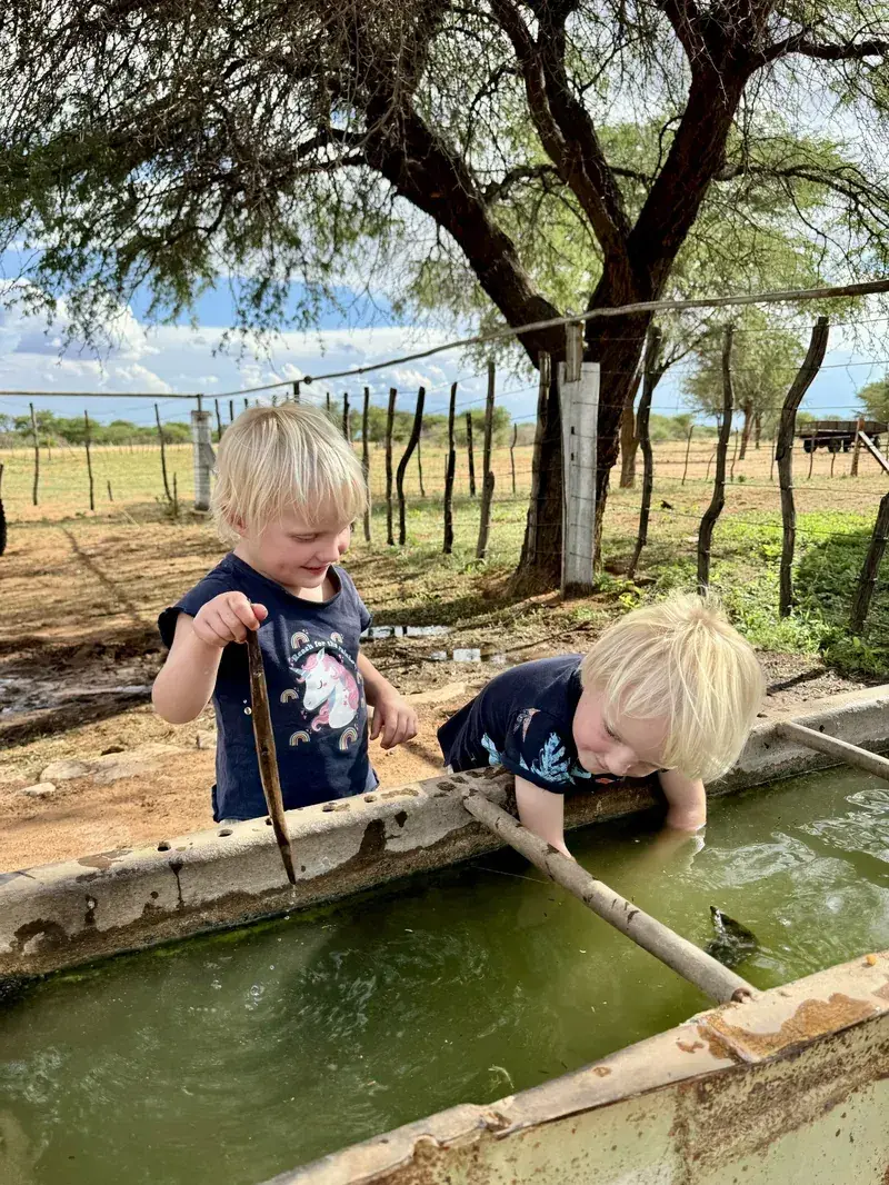 Children paddling
